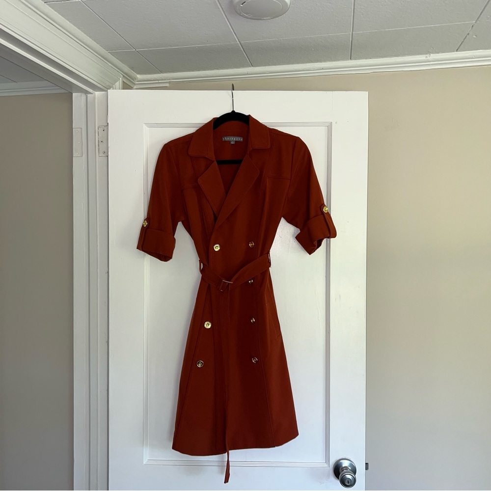Sharagano mini dress